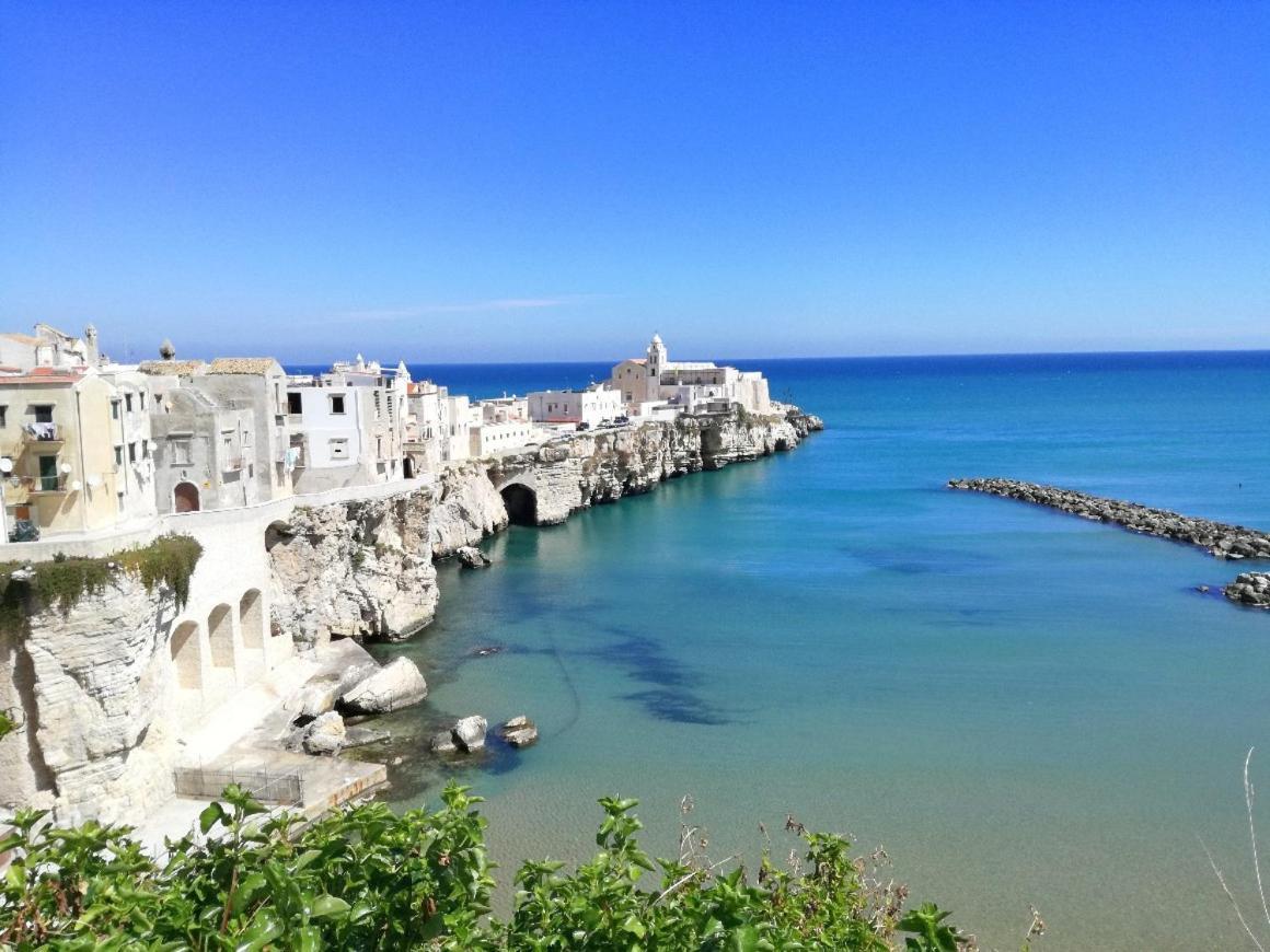 Tagliamento & Molo Apartment Vieste Dış mekan fotoğraf